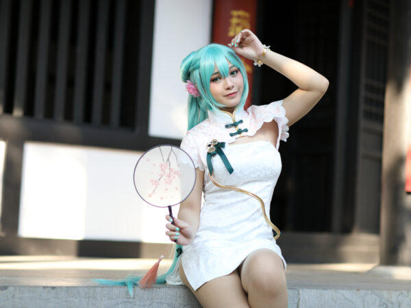 ecchi dans les animes